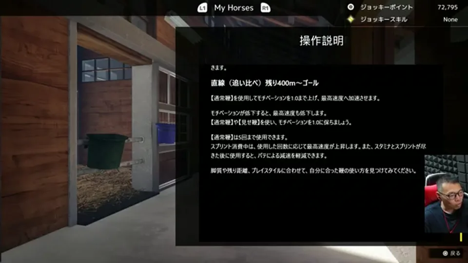 Full Strideの直線での通常鞭と見せ鞭の説明