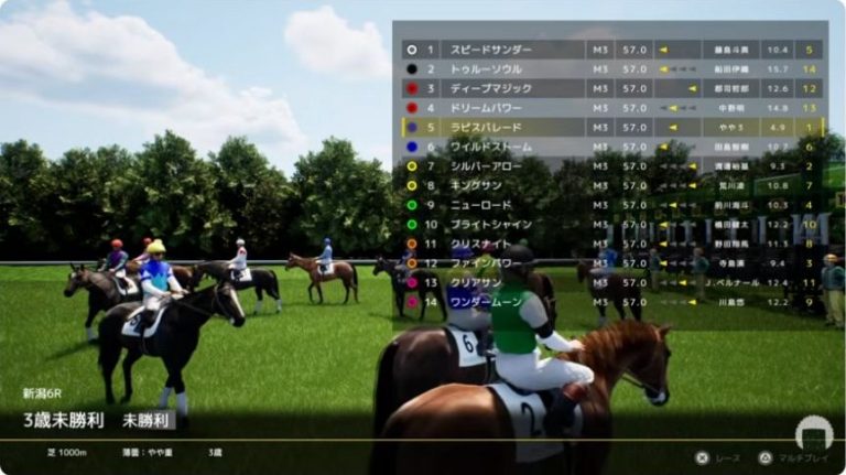 新潟6R・芝1000m・14頭の出走条件。ラピスパレードを選択した画面。