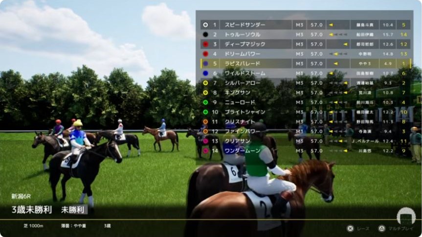 新潟6R・芝1000m・14頭の出走条件。ラピスパレードを選択した画面。